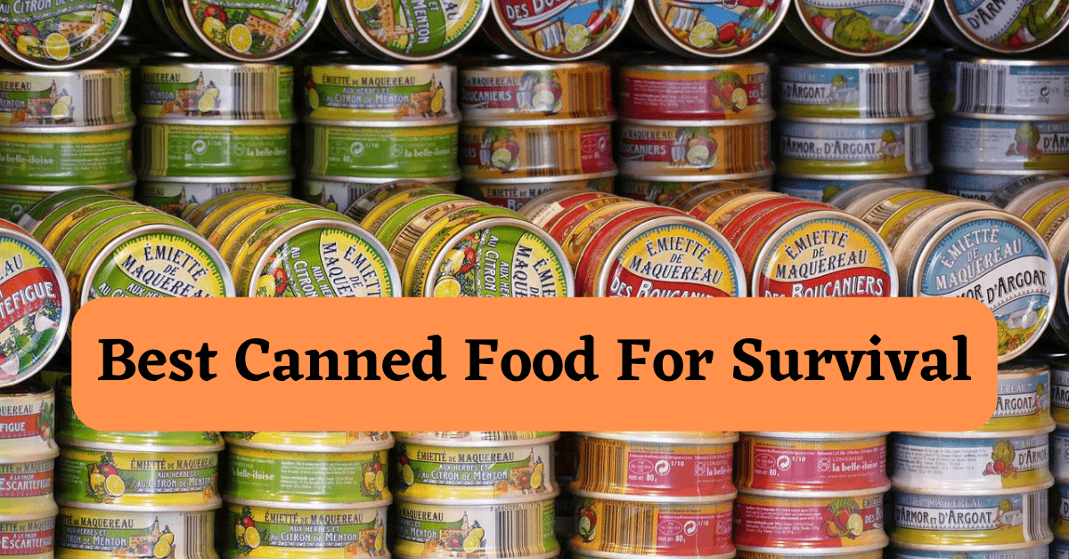 The 10 Best Canned Foods to Stockpile for Survival