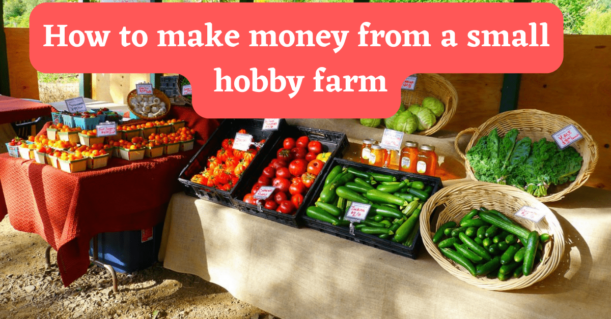 How To Make Money From A Small Hobby Farm - EpicPrepper